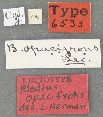 Media type: image;   Entomology 6533 Aspect: labels